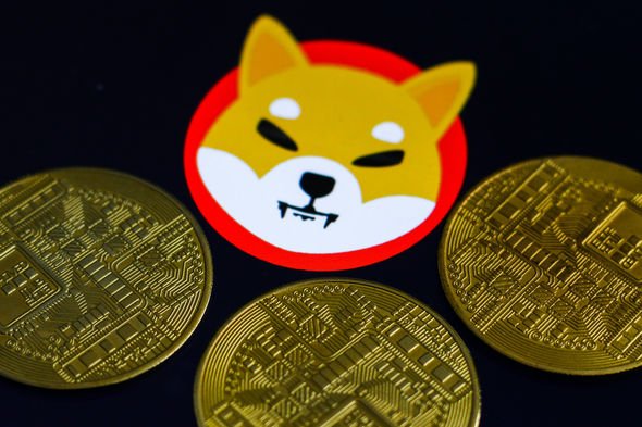 Crise éclair du bitcoin : Shiba Inu