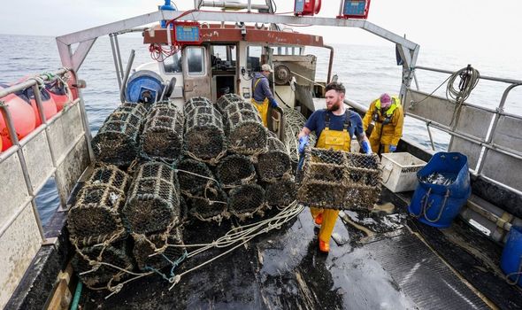 brexit pêche 
