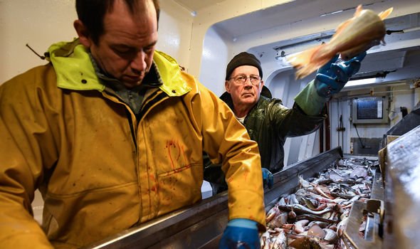 Boris Johnson accusé de sacrifier l'industrie de la pêche