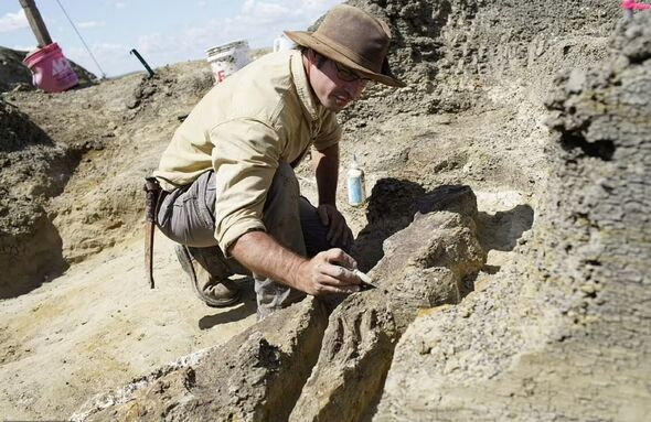Les paléontologues pensent que le dinosaure a été enterré le jour de l'impact.