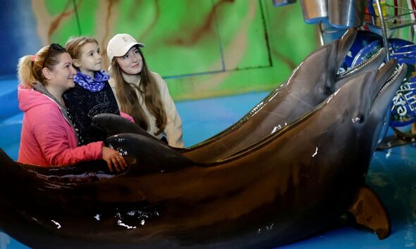 Des enfants avec un dauphin