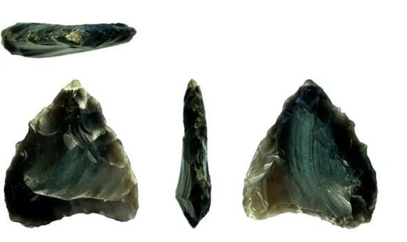 Des pointes de flèches néolithiques trouvées dans un jardin britannique pendant le confinement.