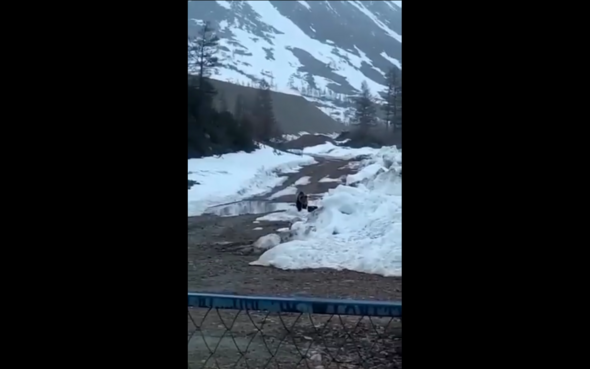 Des mineurs russes font sauter un ours à l'aide d'explosifs