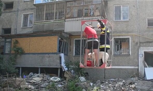Ukraine : Les secouristes libèrent un labrador doré d'un immeuble bombardé. 