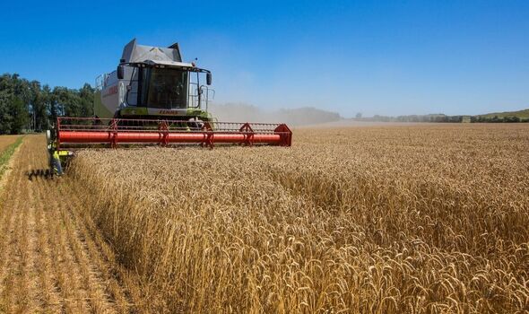 Un tracteur en Ukraine en train de récolter du blé.
