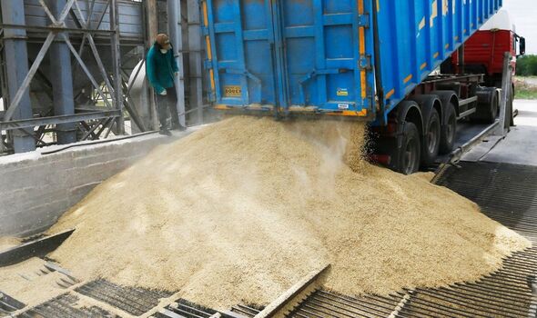 Un camion déchargeant du blé en Ukraine.