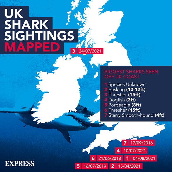 Les observations de requins au Royaume-Uni ont été cartographiées