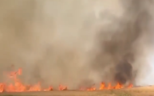 Les troupes russes brûlent les céréales de l'Ukraine