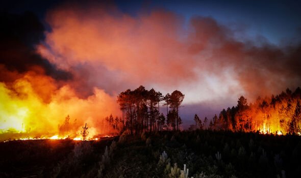 Les incendies de forêt continuent de se propager en Gironde.