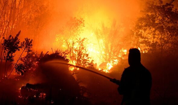 Photo d'un incendie extrême dans une forêt alors qu'un homme tente de l'éteindre.