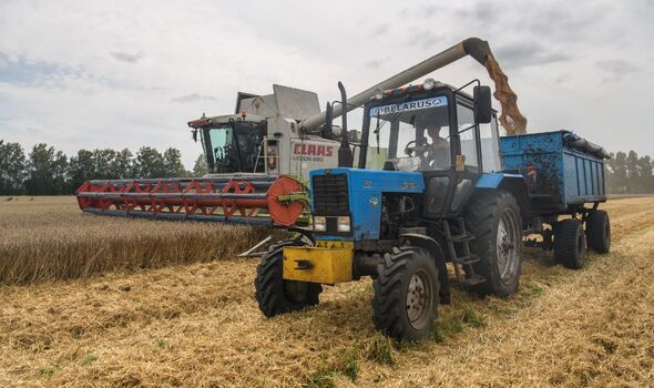  la moissonneuse-batteuse recueille le blé sur le terrain près du village de Zgurivka dans la région de Kyiv
