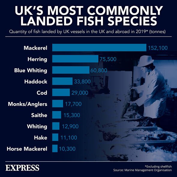 Une infographie sur les poissons les plus couramment débarqués au Royaume-Uni.