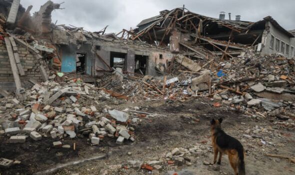 Un chien regarde des ruines à Balakliia.