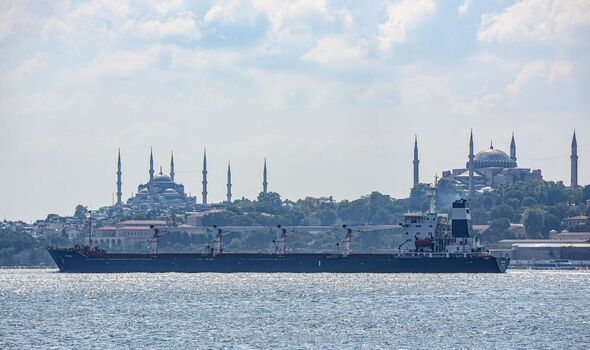 Un navire arrivant à Istanbul.