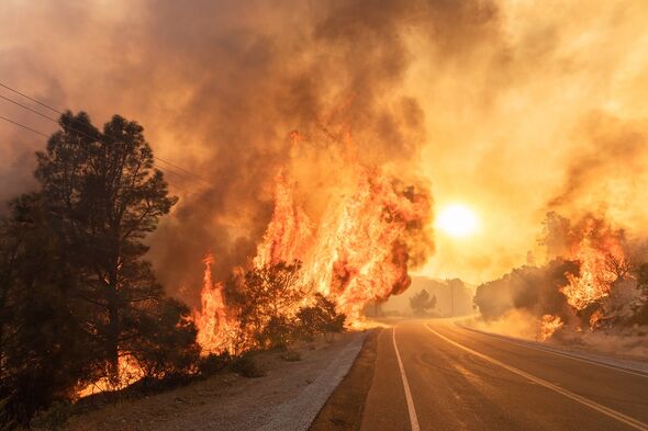 Un incendie de forêt aux États-Unis