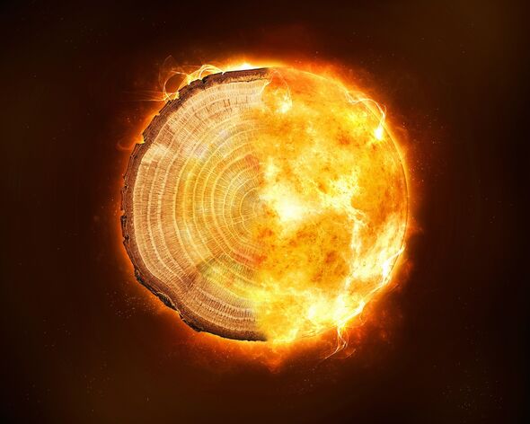 Un composite d'un anneau d'arbre et du soleil