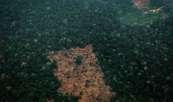 Zone de déforestation de l'Amazonie vue d'en haut