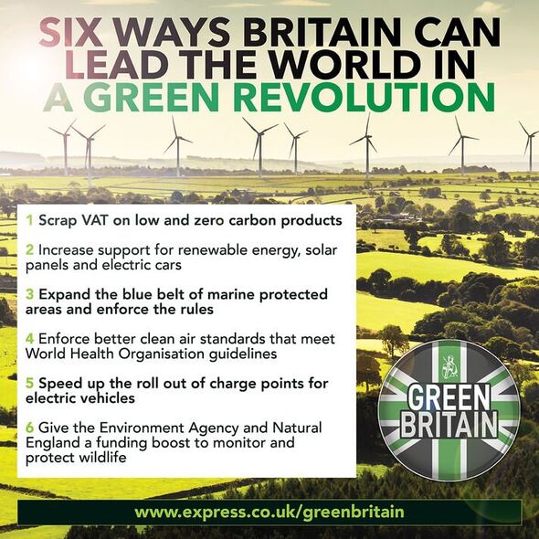 Comment la Grande-Bretagne pourrait mener la révolution verte