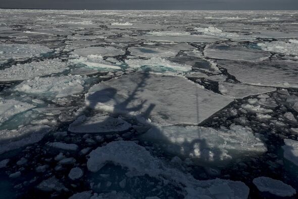 Glace de mer arctique