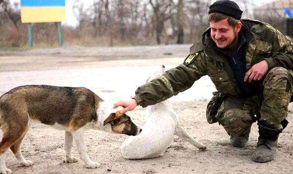 Un chien timide salue un soldat ukrainien.