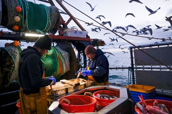 La pêche au Royaume-Uni alors que l'accord commercial sur le Brexit menace le « poisson-frites »
