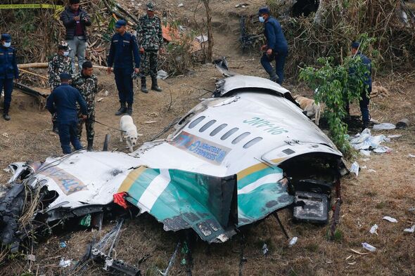 Les chiens de la police népalaise reniflent les restes du crash.