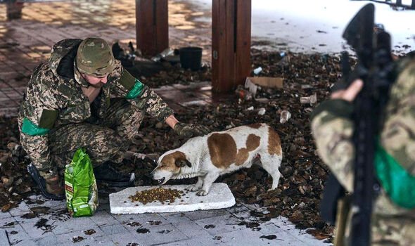 Un soldat ukrainien nourrit un Jack Russel 