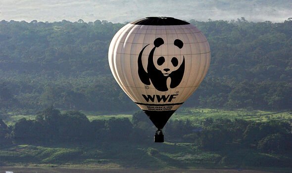 Le WWF a démenti les affirmations infondées de la Russie