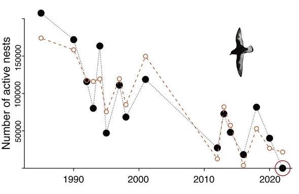 Représentation graphique des couples reproducteurs de pétrels antarctiques