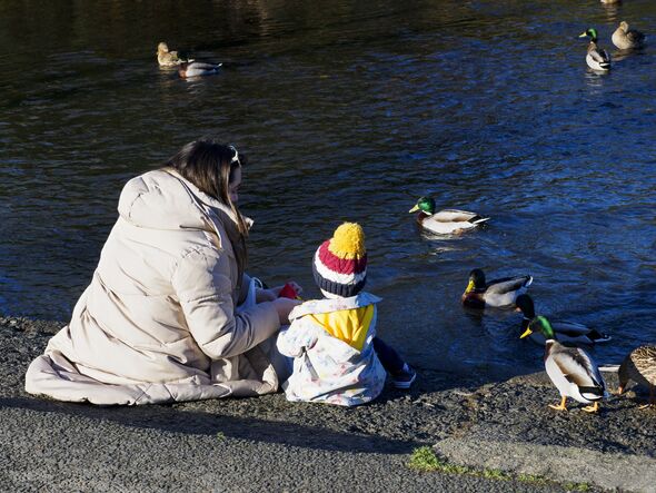 Mère et fils nourrissant des canards au bord de la rivière Kensey, Launceston, Cornouailles, Royaume-Uni.