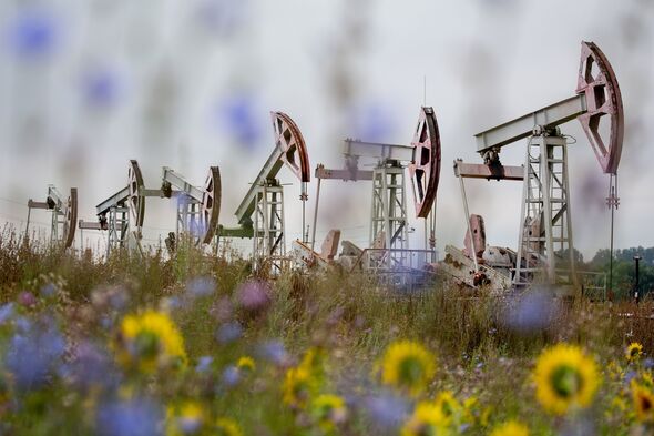 Les vérins de pompage de pétrole russes devant l'OPEP 